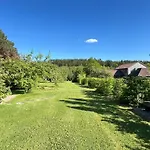 Dağ evi Pine Tree Tiny