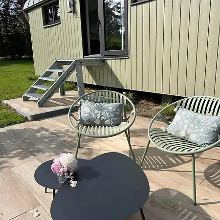 Chalet Pine Tree Tiny