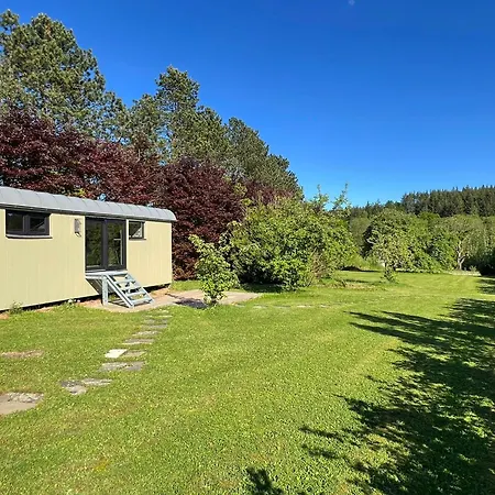 Domek alpejski Pine Tree Tiny