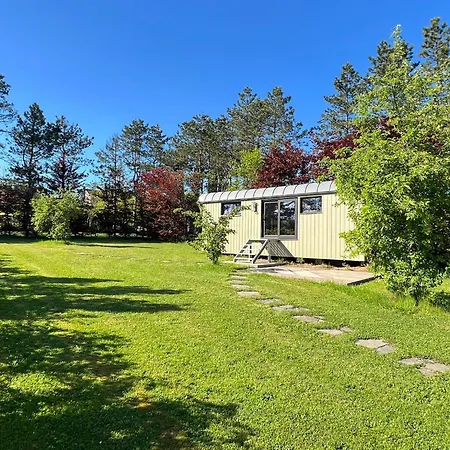 Pine Tree Tiny Chalet