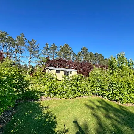 Pine Tree Tiny Rochefort