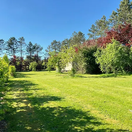 Domek alpejski Pine Tree Tiny