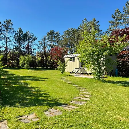 Pine Tree Tiny * Rochefort