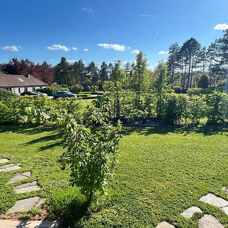 Pine Tree Tiny Domek alpejski