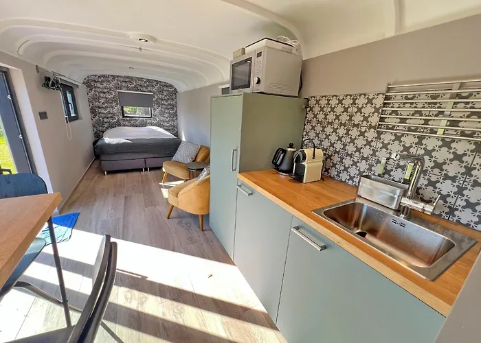 Pine Tree Tiny Chalet Rochefort