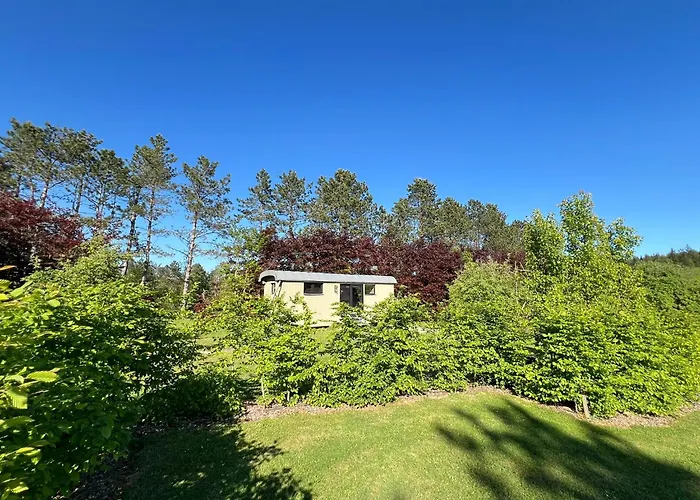 Pine Tree Tiny Chalet Rochefort