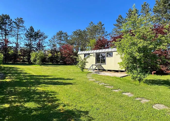 Pine Tree Tiny Chalet