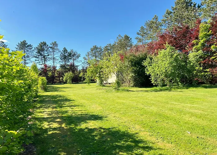 Chalet Pine Tree Tiny